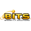 Binary I.T. Solutions, Inc. - Logo on HoneyHat