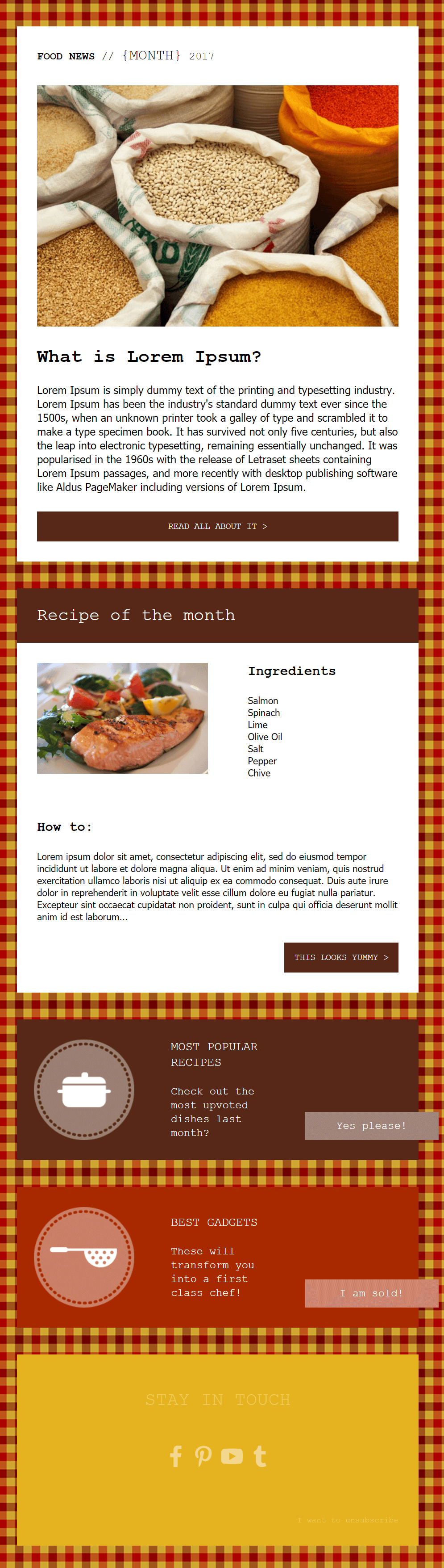 food blog newsletter design