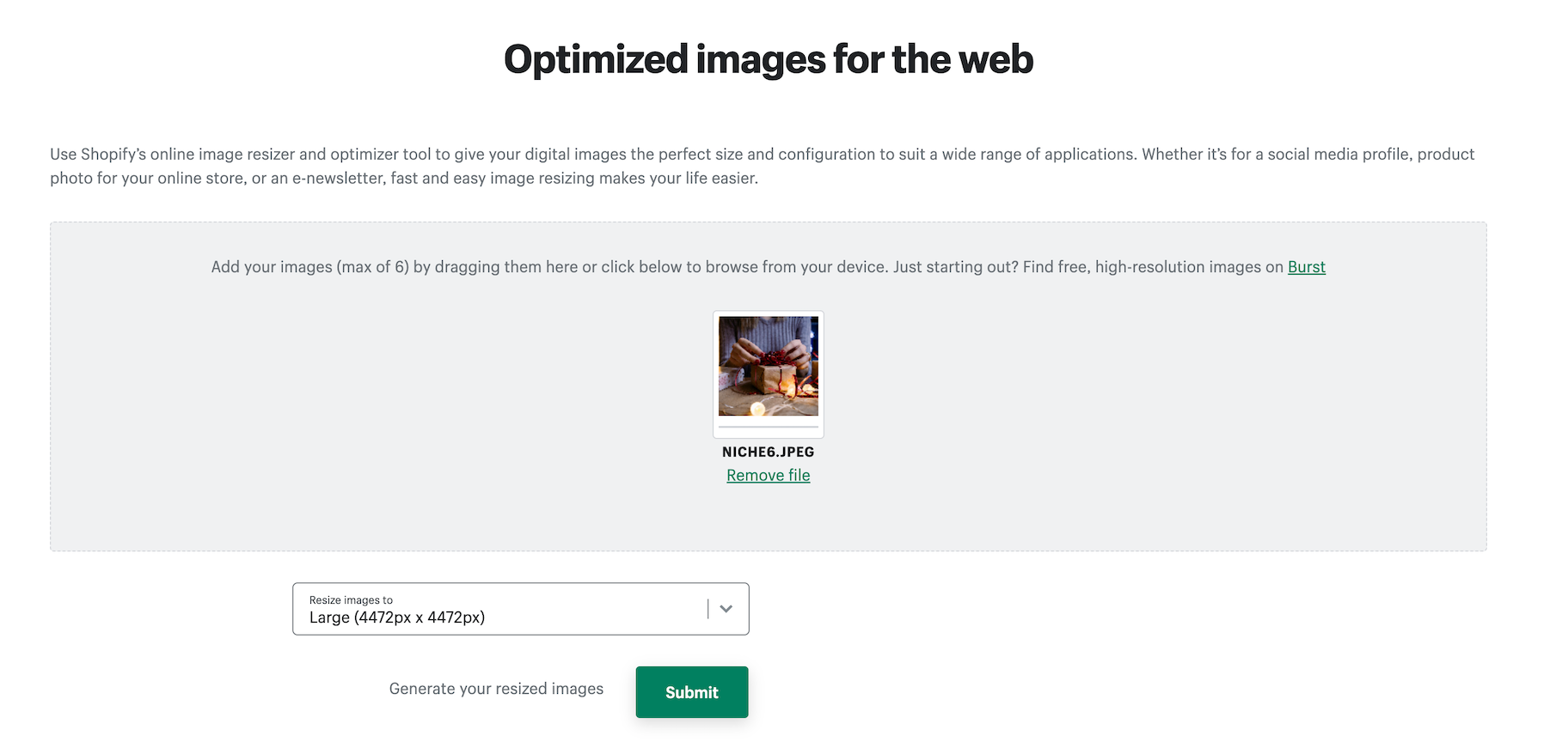 Shopify free image resizer