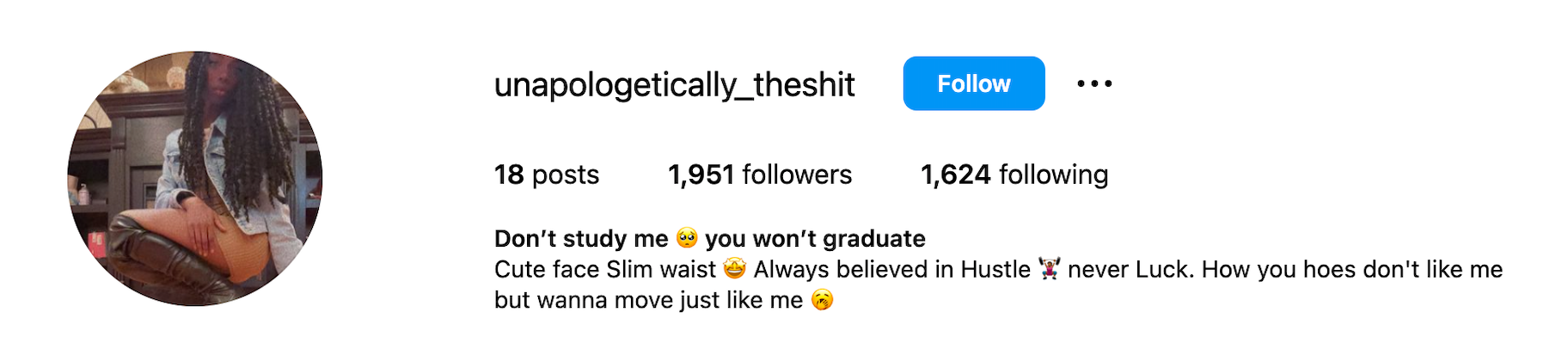 Instagram bio example