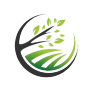 6a02cbdbd543a.png