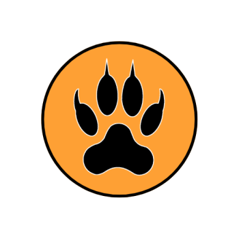Tommy_Cat_Media_Logo_2022.png